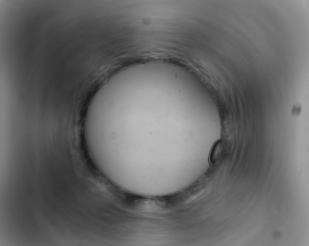 X0000103160223200808221200