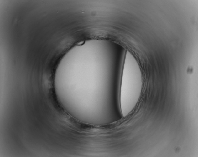 X0000103160224200808221200