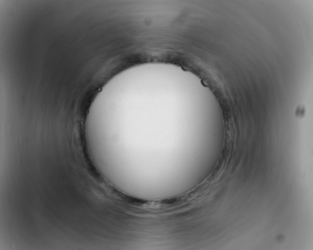 X0000103160225200808221200