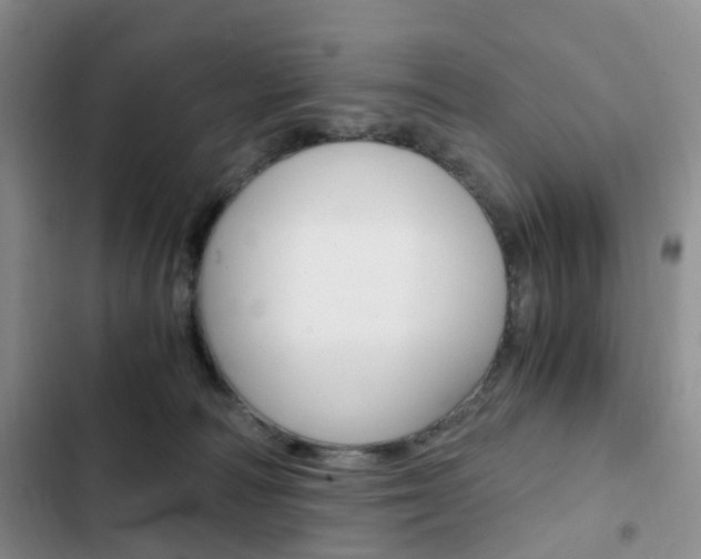 X0000103160226200808221200