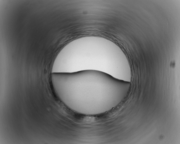 X0000103160227200808221200