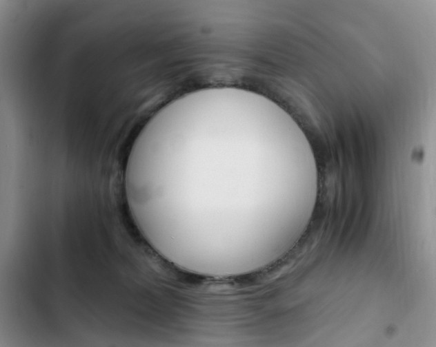 X0000103160228200808221200