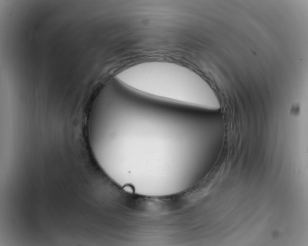 X0000103160229200808221200