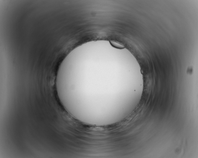 X0000103160230200808221200