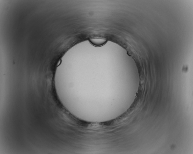 X0000103160231200808221200