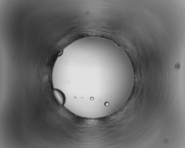X0000103160233200808221200