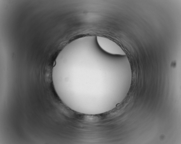 X0000103160234200808221200