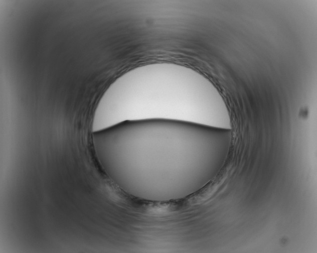 X0000103160235200808221200