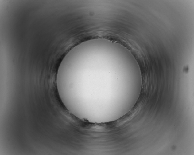 X0000103160236200808221200