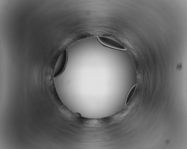 X0000103160237200808221200