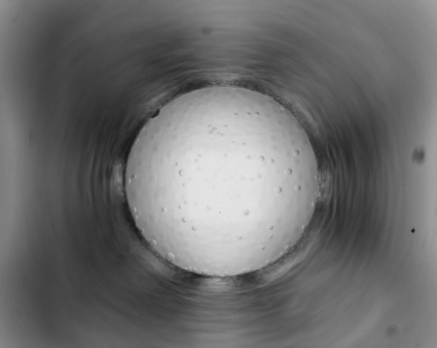 X0000103160238200808221200