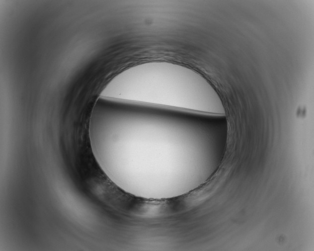 X0000103160240200808221159