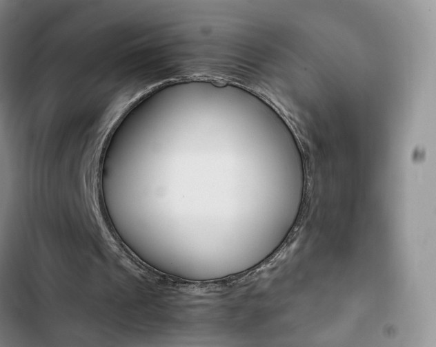 X0000103160241200808221159