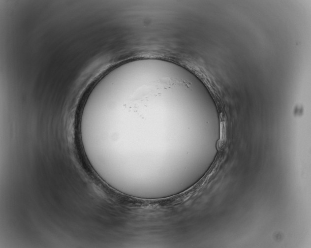 X0000103160243200808221159