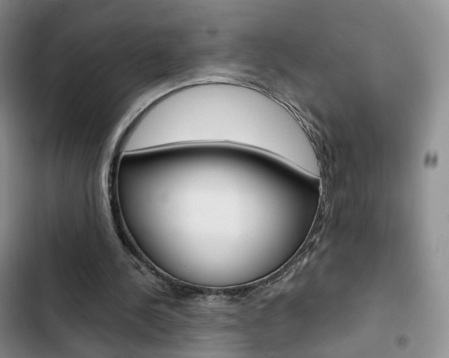 X0000103160244200808221159