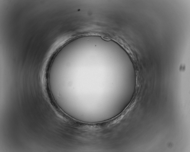 X0000103160245200808221159