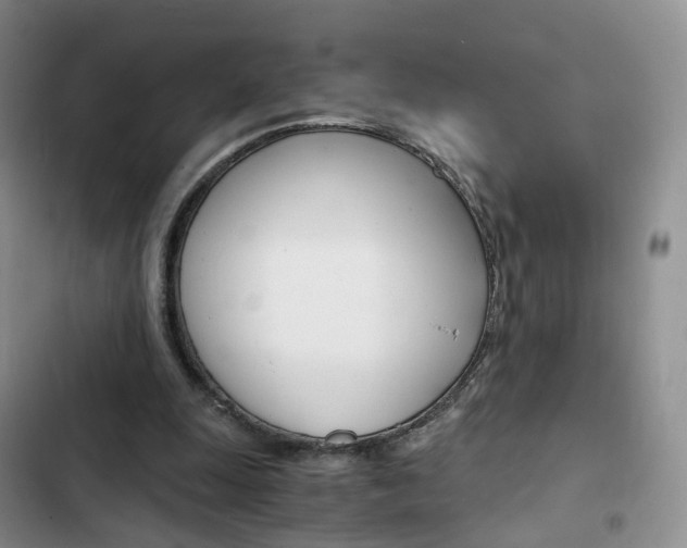 X0000103160247200808221159