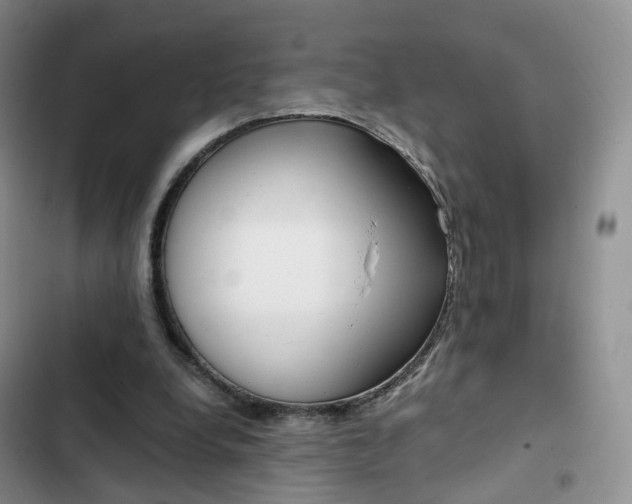 X0000103160248200808221159