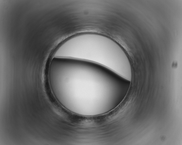 X0000103160252200808221159