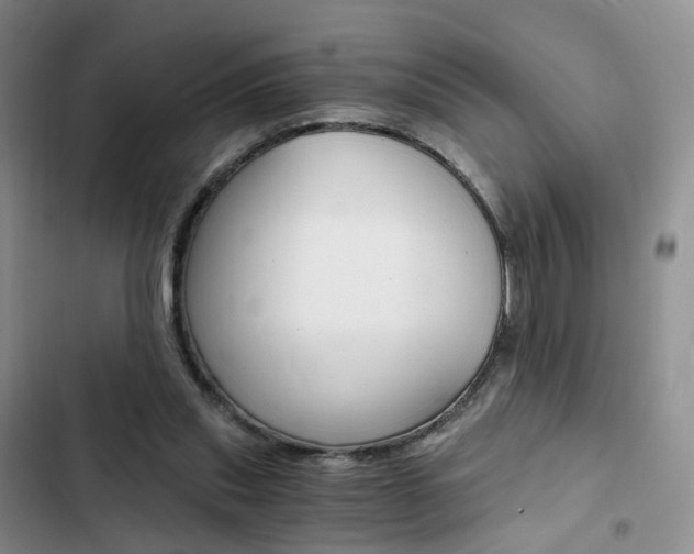 X0000103160253200808221159