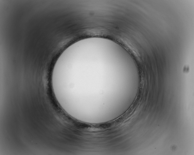 X0000103160255200808221159