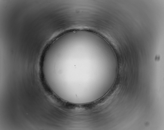 X0000103160256200808221159