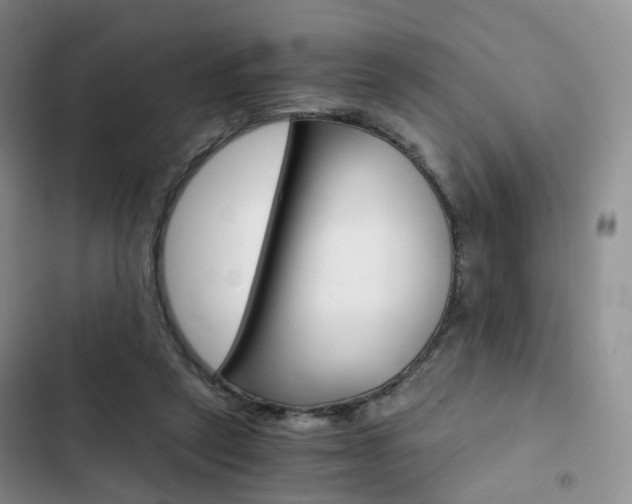 X0000103160257200808221159