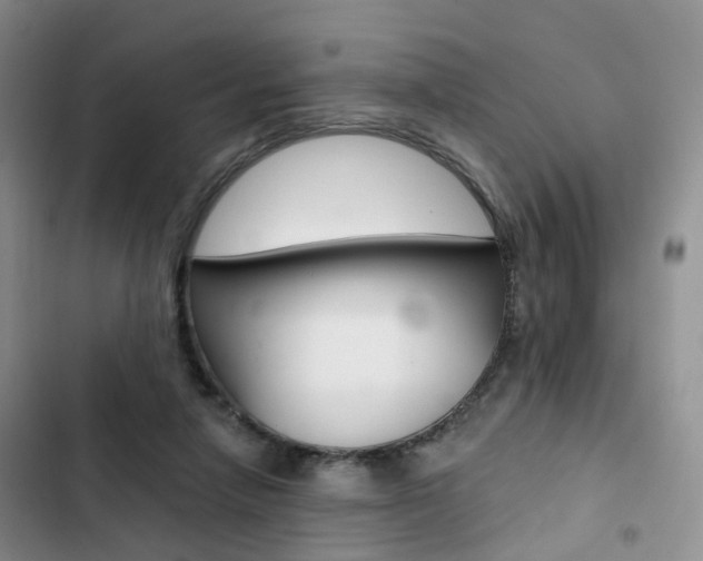 X0000103160258200808221159