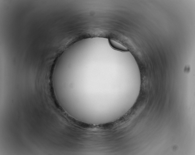 X0000103160259200808221159