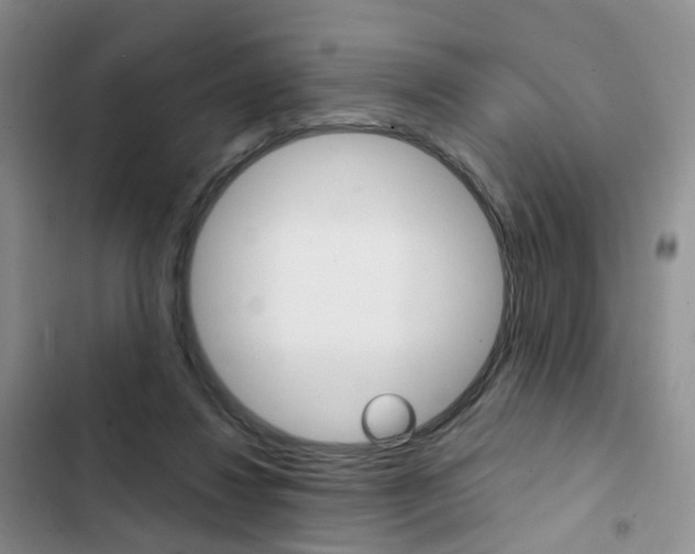X0000103160260200808221159