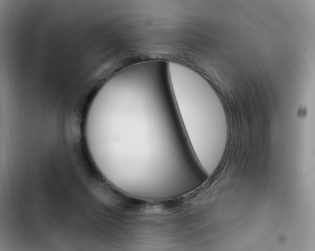 X0000103160262200808221159
