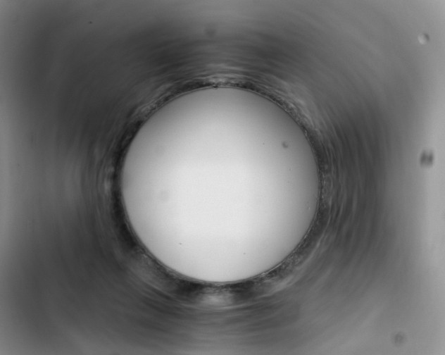 X0000103160263200808221159