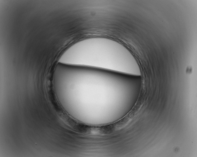 X0000103160264200808221159