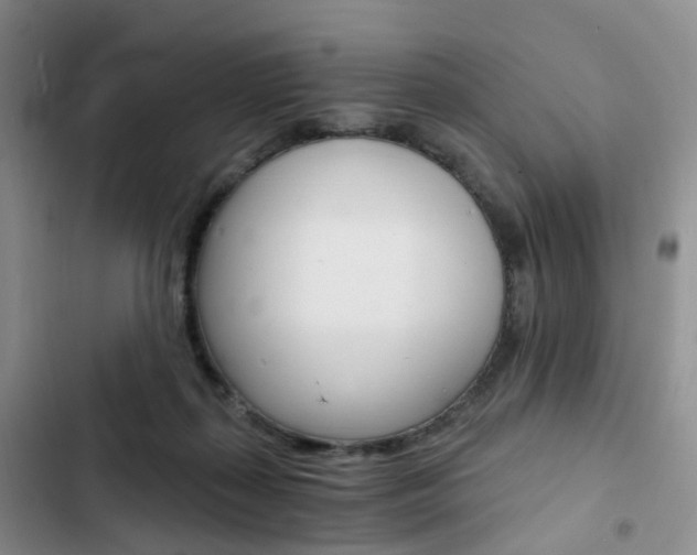 X0000103160267200808221159