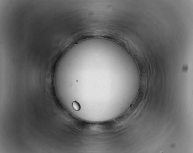 X0000103160268200808221159