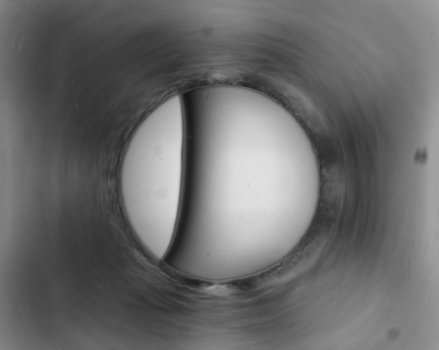 X0000103160269200808221159