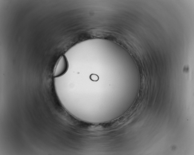 X0000103160271200808221159