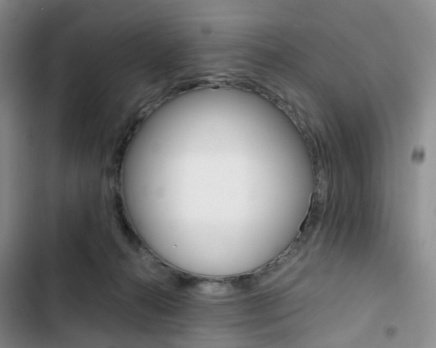 X0000103160272200808221159