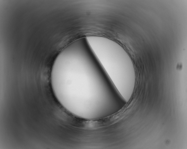 X0000103160273200808221159