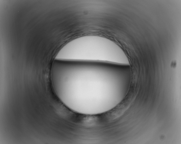 X0000103160274200808221159