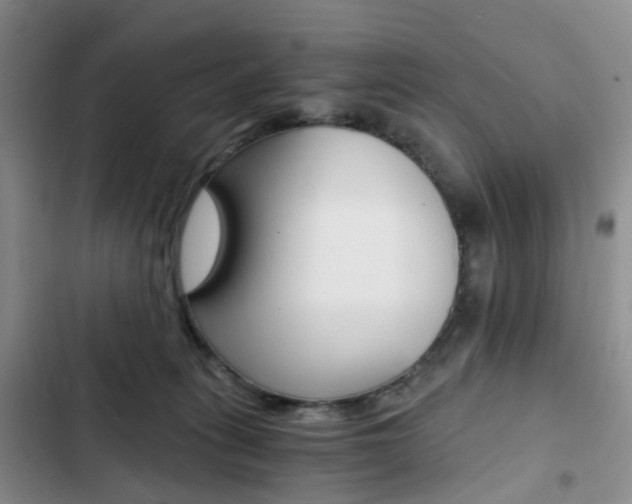 X0000103160275200808221159