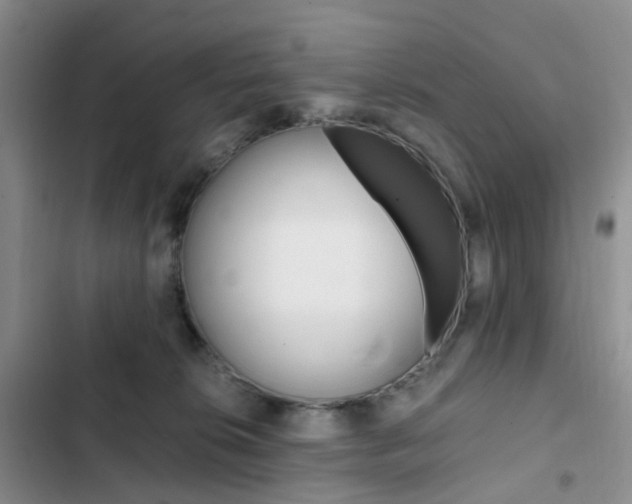 X0000103160276200808221159