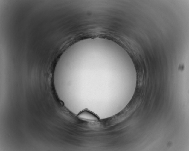 X0000103160279200808221159