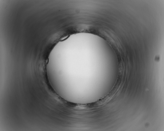 X0000103160280200808221159