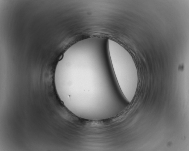 X0000103160282200808221159