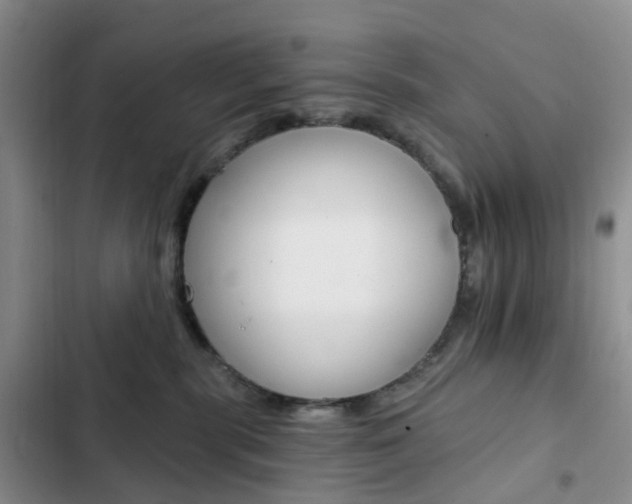 X0000103160283200808221159