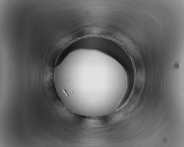 X0000103160284200808221159