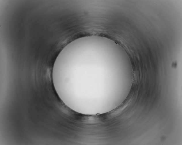 X0000103160286200808221159