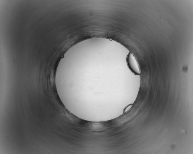X0000103160287200808221159