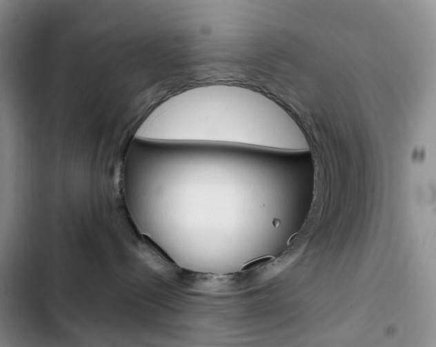 X0000103160288200808221159